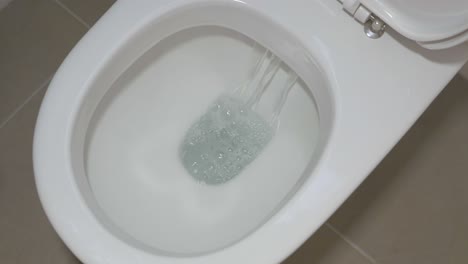 toilet flushing by itself