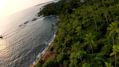 aerial dolly in flying over sea and palm trees in dense green rainforest, mirissa beach coast at golden hour, sri lanka