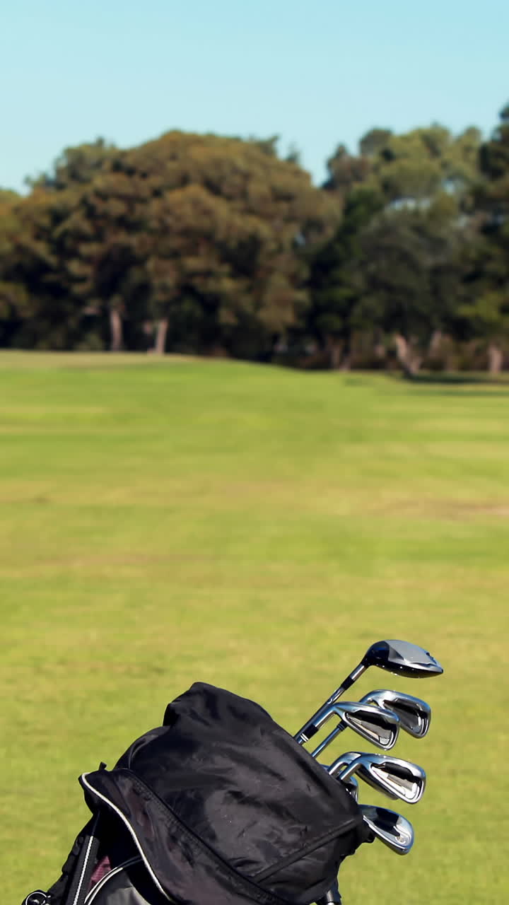 bolsa de golf con un palo de golf