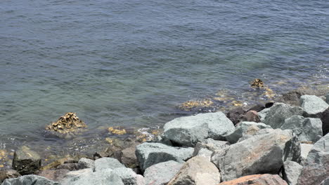 waves crashing in on rocky shore