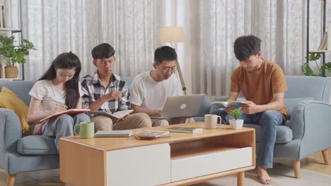 students studying together at home