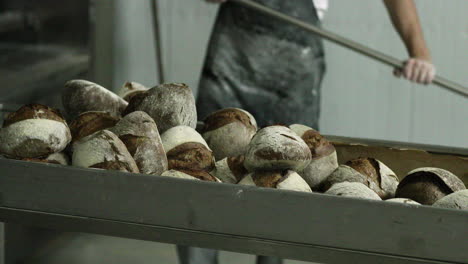 baker taking out the freshly baked sourdough bread in the oven and transferring it on the table