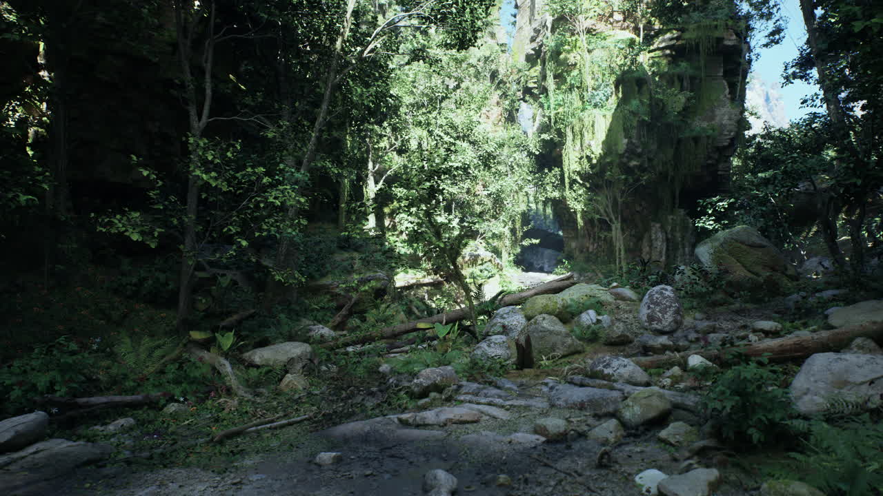 나무 와 바위 로 둘러싸인 경치 좋은  도로