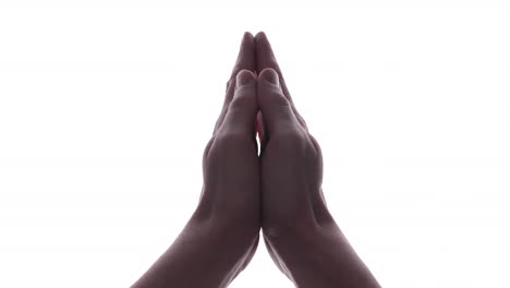 person hands joined in gesture of prayer in white background