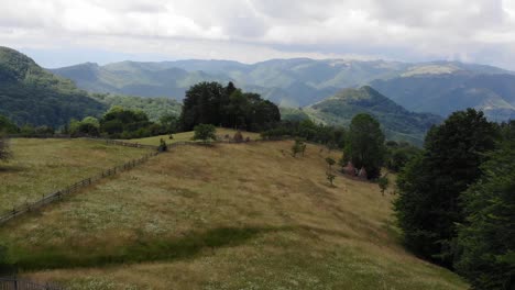 flowery meadow up in the mountains with stunning view over the mountain range
