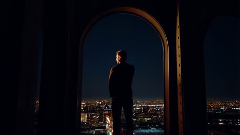 Silhouette of a Man Overlooking a City at Night
