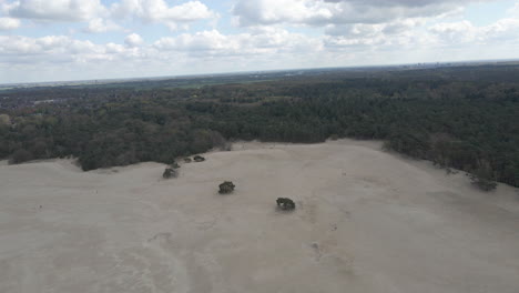 Aerial-of-trees-in-the-middle-of-beautiful-sand-dunes