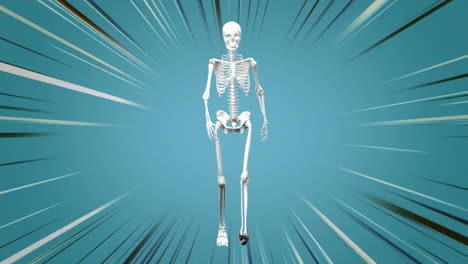 human skeleton walking in the blue background