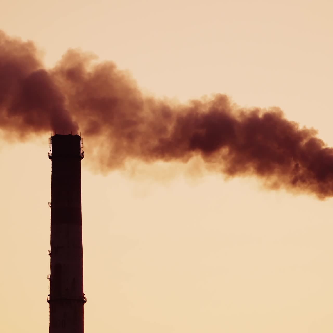 The steaming tube or pipe of the plant, factory or thermal power station on the background of dark sky. Monochrome video.