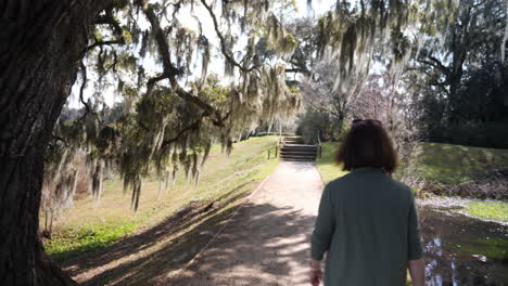 woman walks in the low country of south carolina under spanish moss laden trees