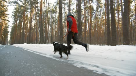 Hombre-Activo-De-Mediana-Edad-Corriendo-En-Un-Camino-Nevado-En-El-Bosque-Con-Un-Perro-Border-Collie-En-Un-Día-De-Invierno