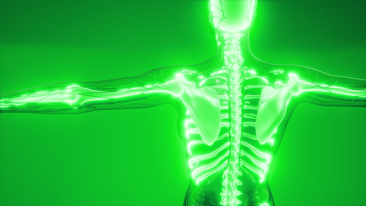 눈에 띄는  ⁇ 가 있는 투명한 인간 몸