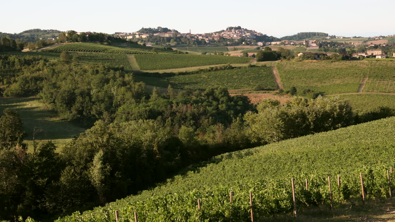 Ripresa panoramica di colline e vigneti nel Monferrato, Piemonte, Italia