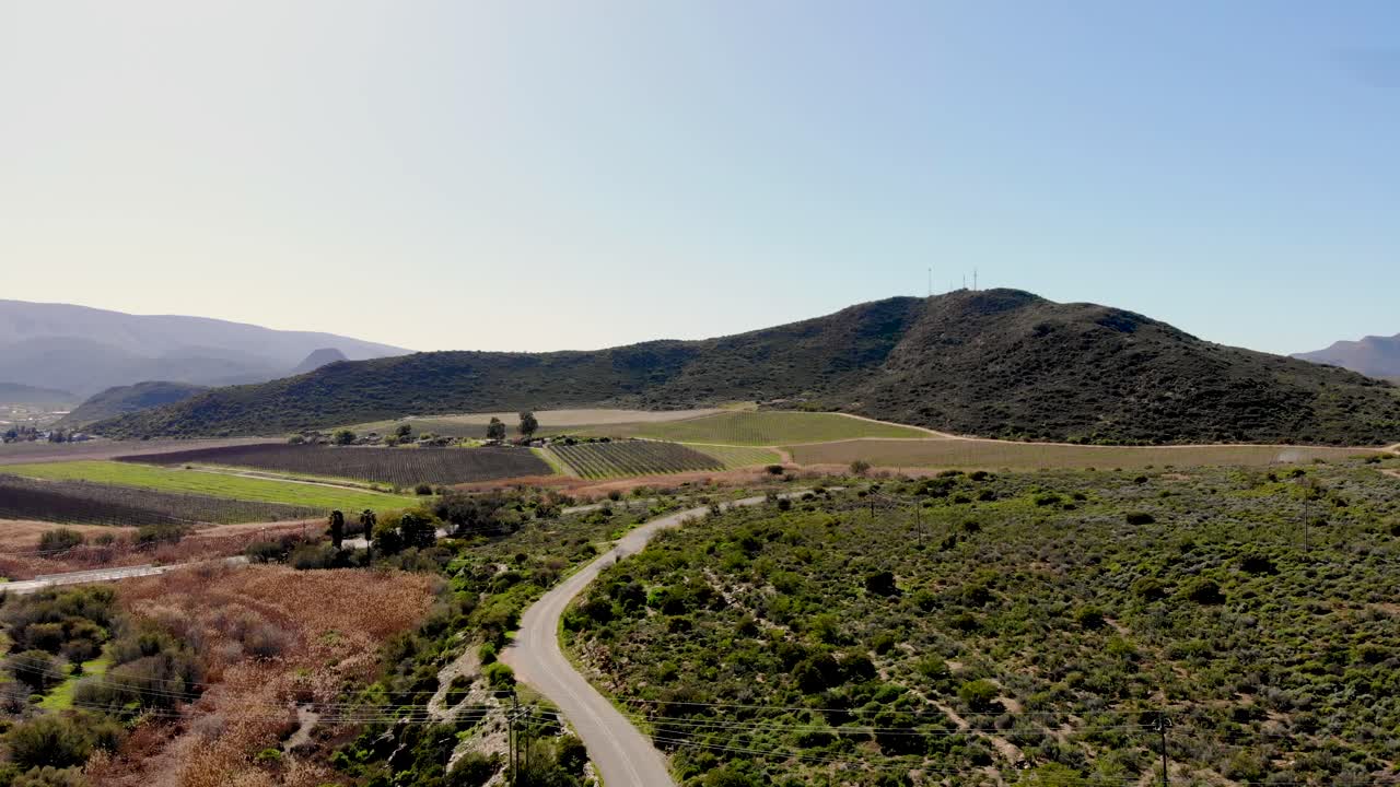Montagu's farmland, where a road disappears into the lush greenery, inviting exploration into the heart of nature's beauty