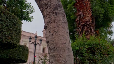 Von-Links-Nach-Rechts-Ist-Der-Linke-Turm-Der-Kathedrale-Von-Arequipa-Sichtbar,-Der-Aus-Der-Lokalen-Vegetation-Hervorragt-Und-Eine-Antike-Straßenlaterne-Im-Blick-Hat