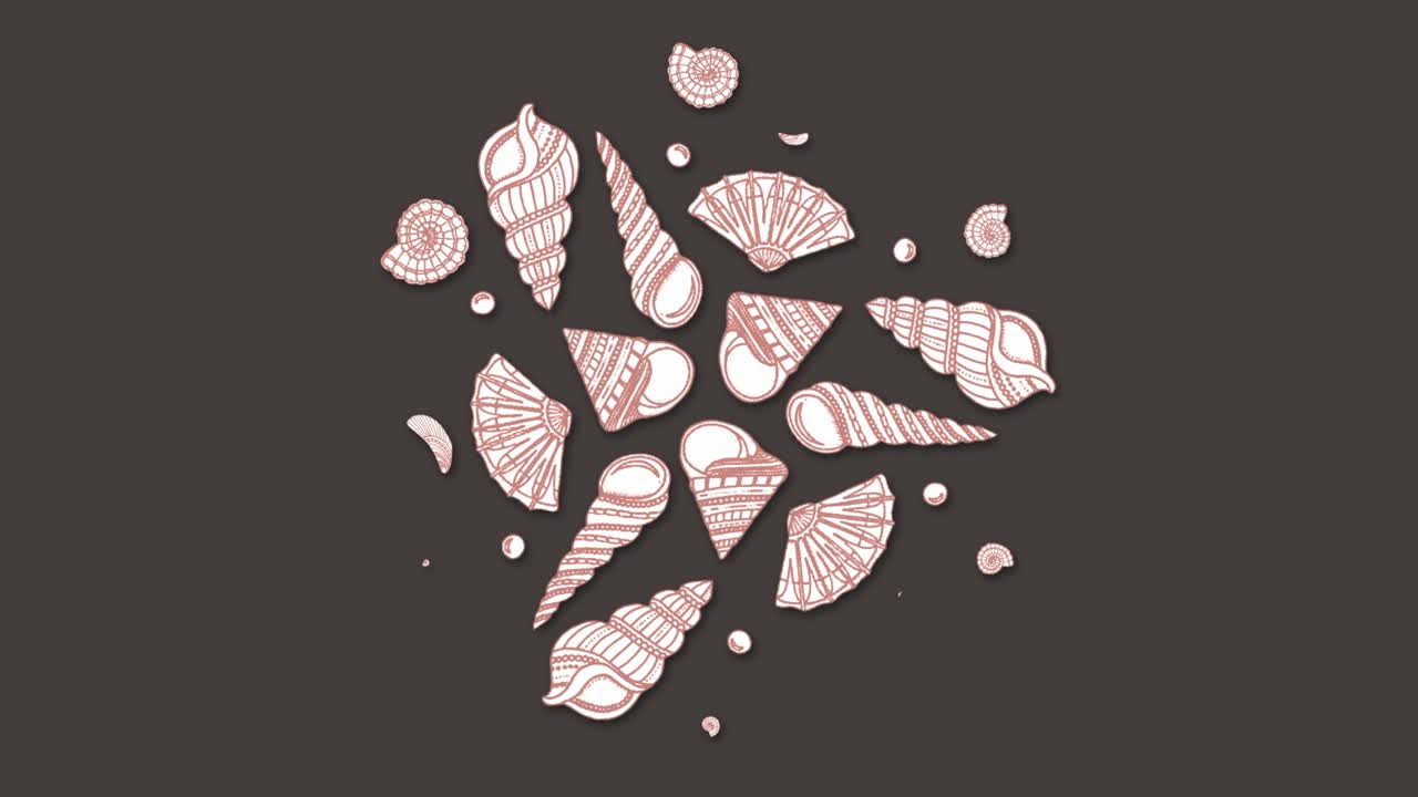 el fondo del patrón de las conchas marinas