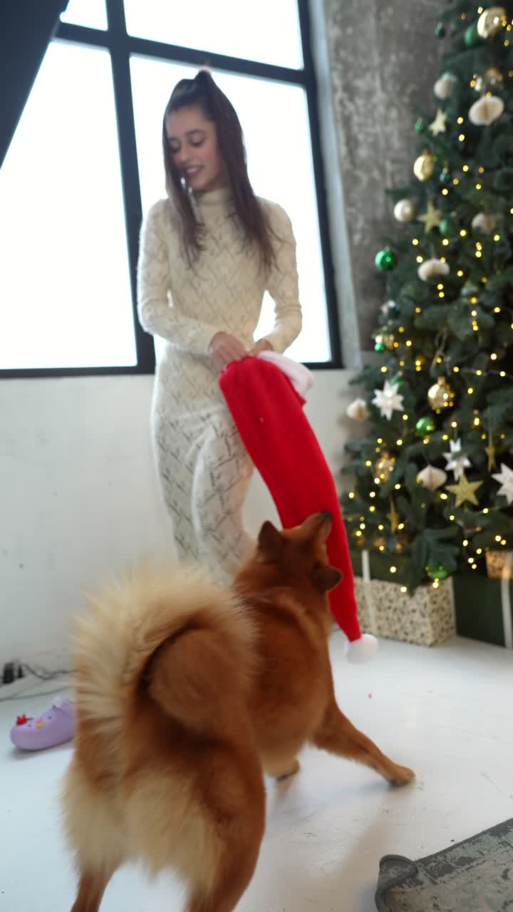 소녀와 개는 크리스마스 모자와 함께 놀고 있습니다.
