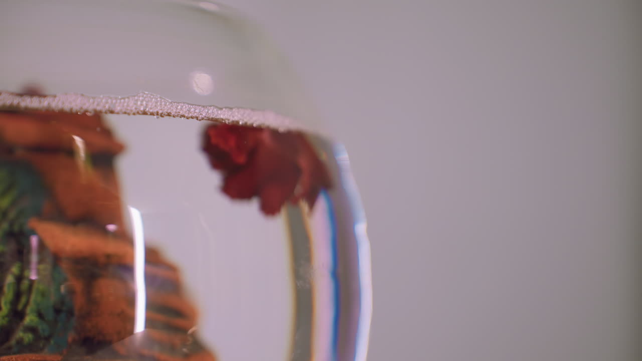 Red fish floats near surface inside clear water-filled glass jar with visible bubble line and soft lighting, showcasing vibrant fins and reflections on transparent curved surface