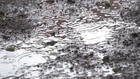 lluvia de primavera en tierras de cultivo