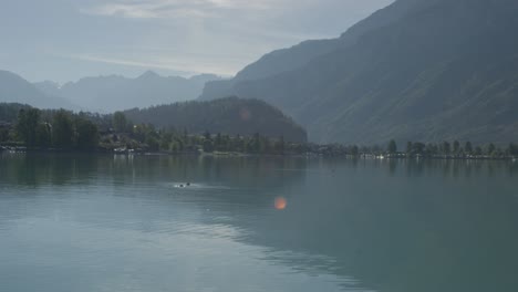 three ducks playing around in perfect view of scenic harbor | rural european mountainside with great lake