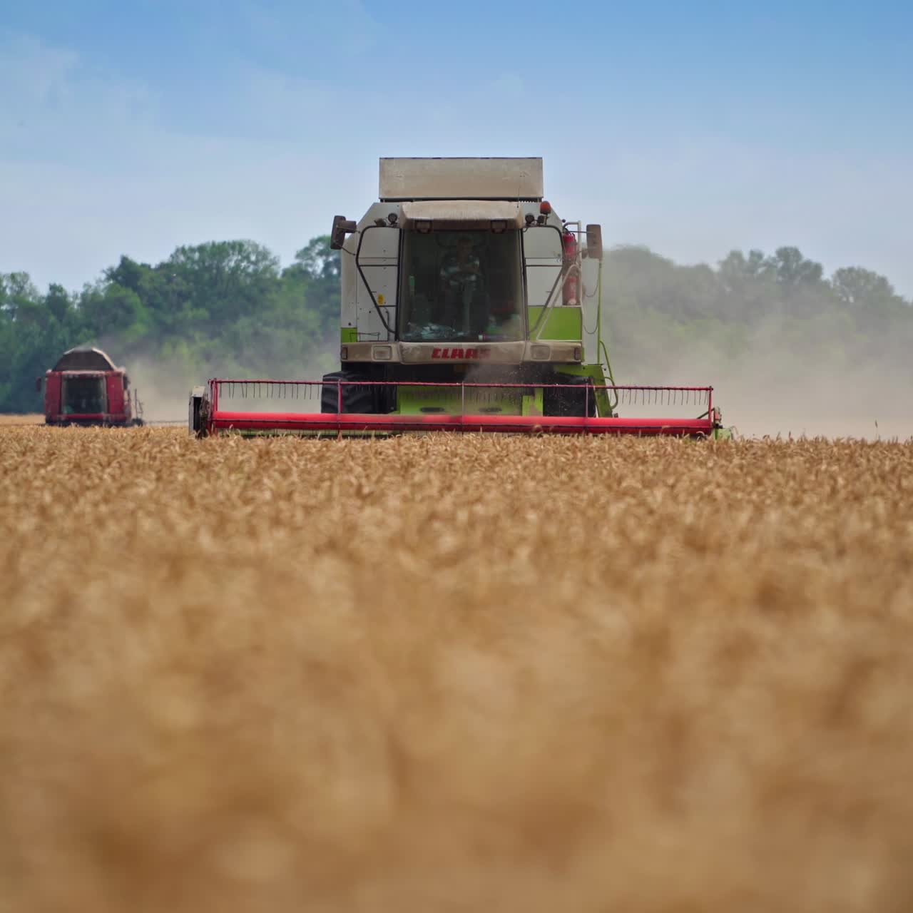 Farming food golden landscapes. Big agricultural combine harvesting in field