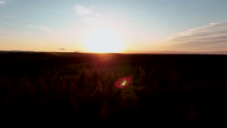 Volando-Sobre-Los-árboles-En-El-Bosque-Durante-El-Amanecer-En-El-Sur-De-Islandia