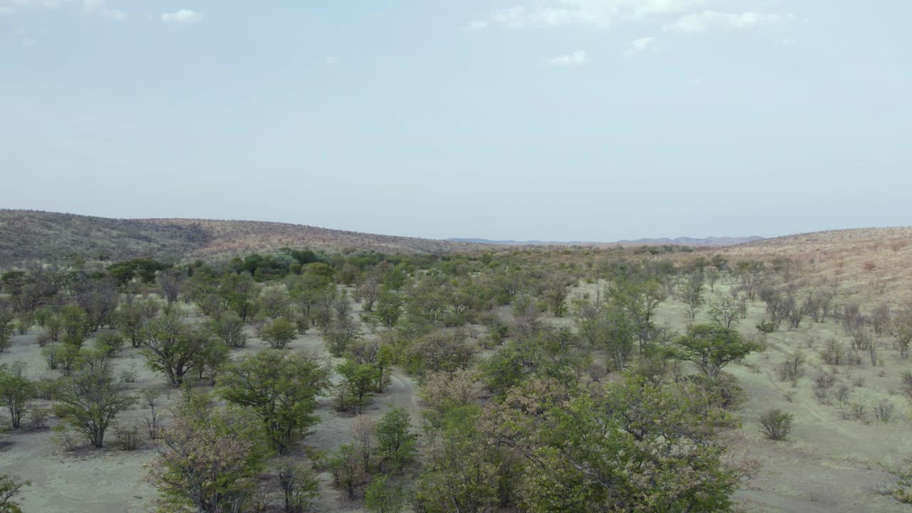 아프리카 북부 나미비아의 kaokoland o kaokoveld