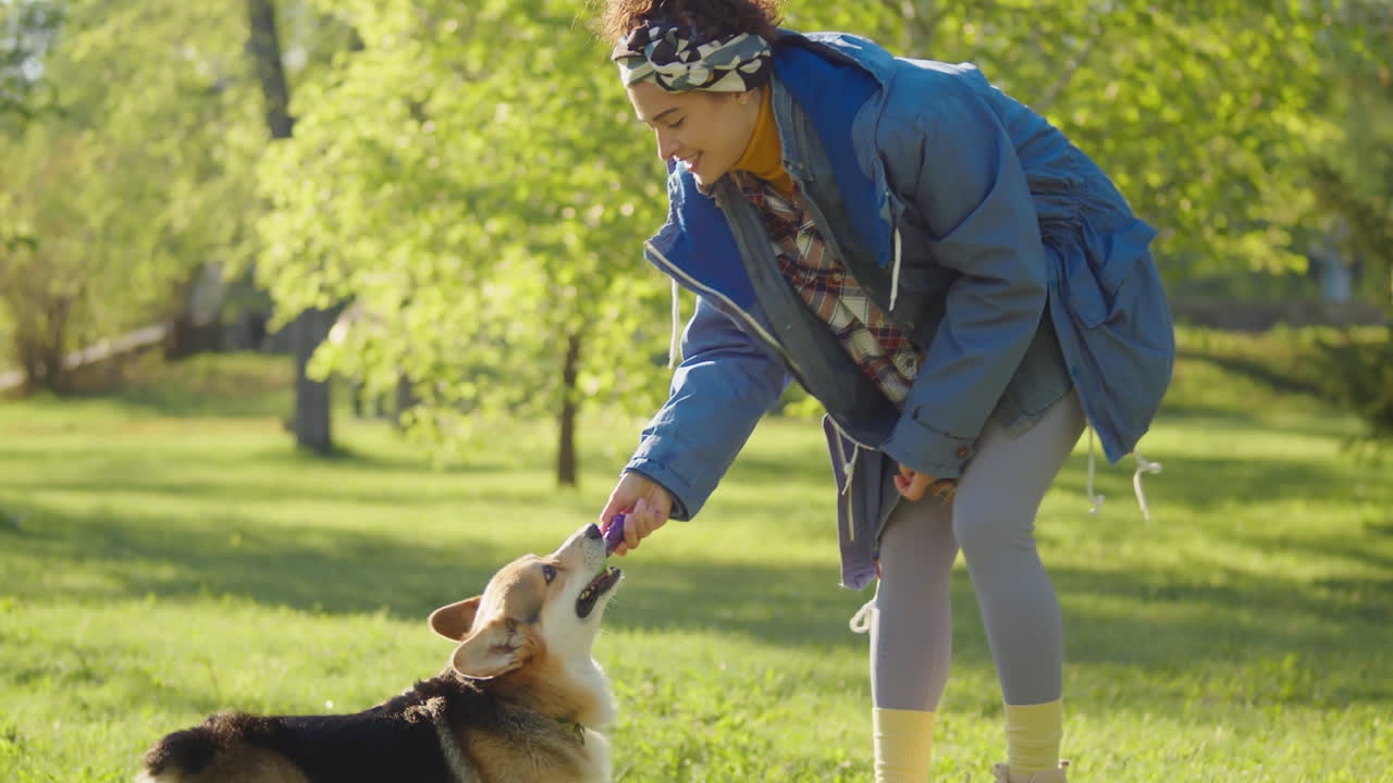 A woman playing with her Corgi dog in a sunny park