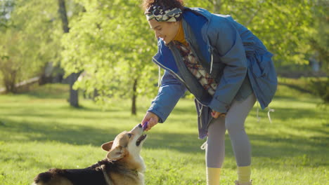 a woman playing with her corgi dog in a sunny park