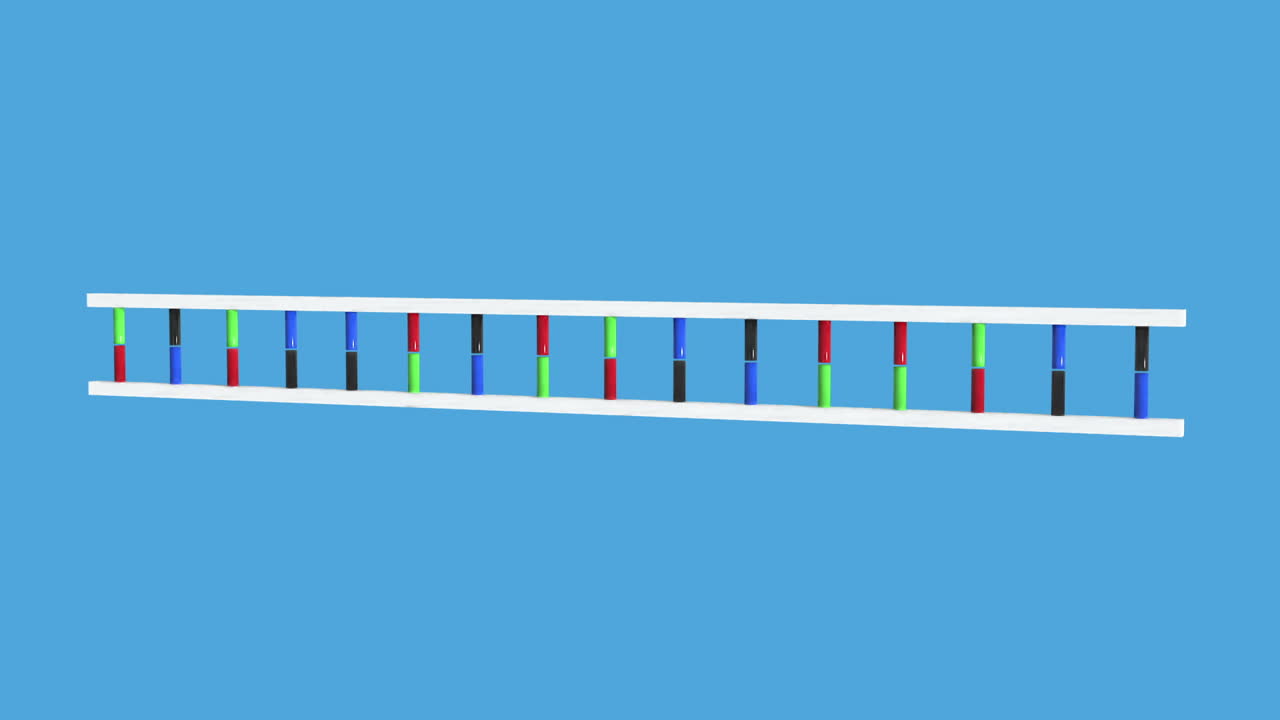dna를 움직이는 애니메이션