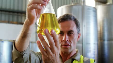 worker examining olive oil