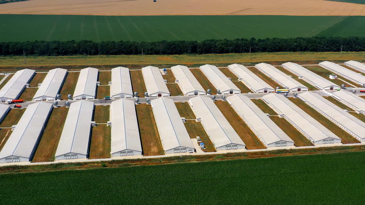 Drone view of poultry farms. Aerial view of modern poultry facility in rural area