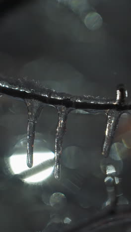 primer plano de ramas de árboles desnudas y heladas cubiertas de hielo y gafas de nieve, con una luz suavemente brillante en el fondo y un edificio borroso