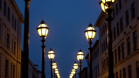 a row of illuminated street lamps at dusk