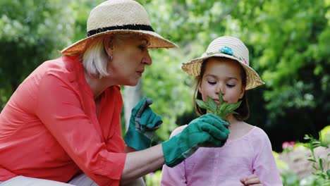 grandmother and granddaughter gardening in the park