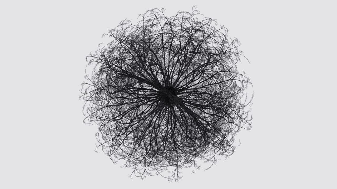 나무가 회전하는 검은 구. 최소한의 모션 디자인.