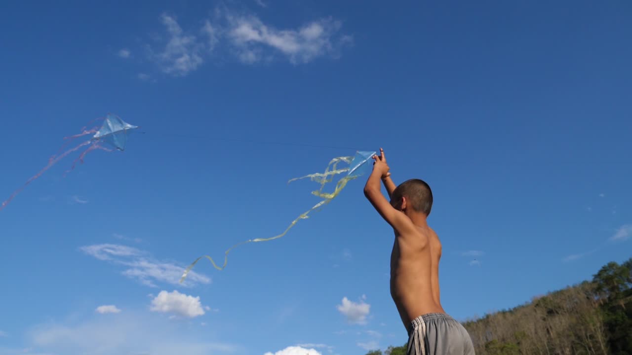 Boy Flying Kites on a Sunny Day