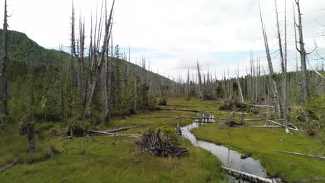 Deforestación-De-Bosques-Con-Un-Arroyo-Que-Atraviesa-El-Paisaje-En-La-Isla-Moresby,-Columbia-Británica,-Canadá