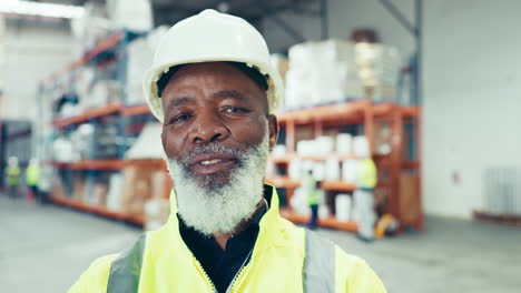 industry, smile and face of black man