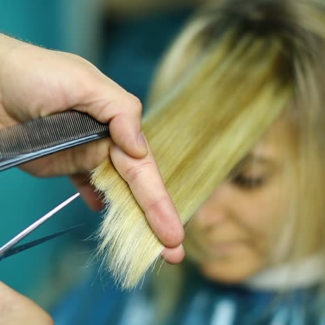 estilista profesional que trabaja con el cliente