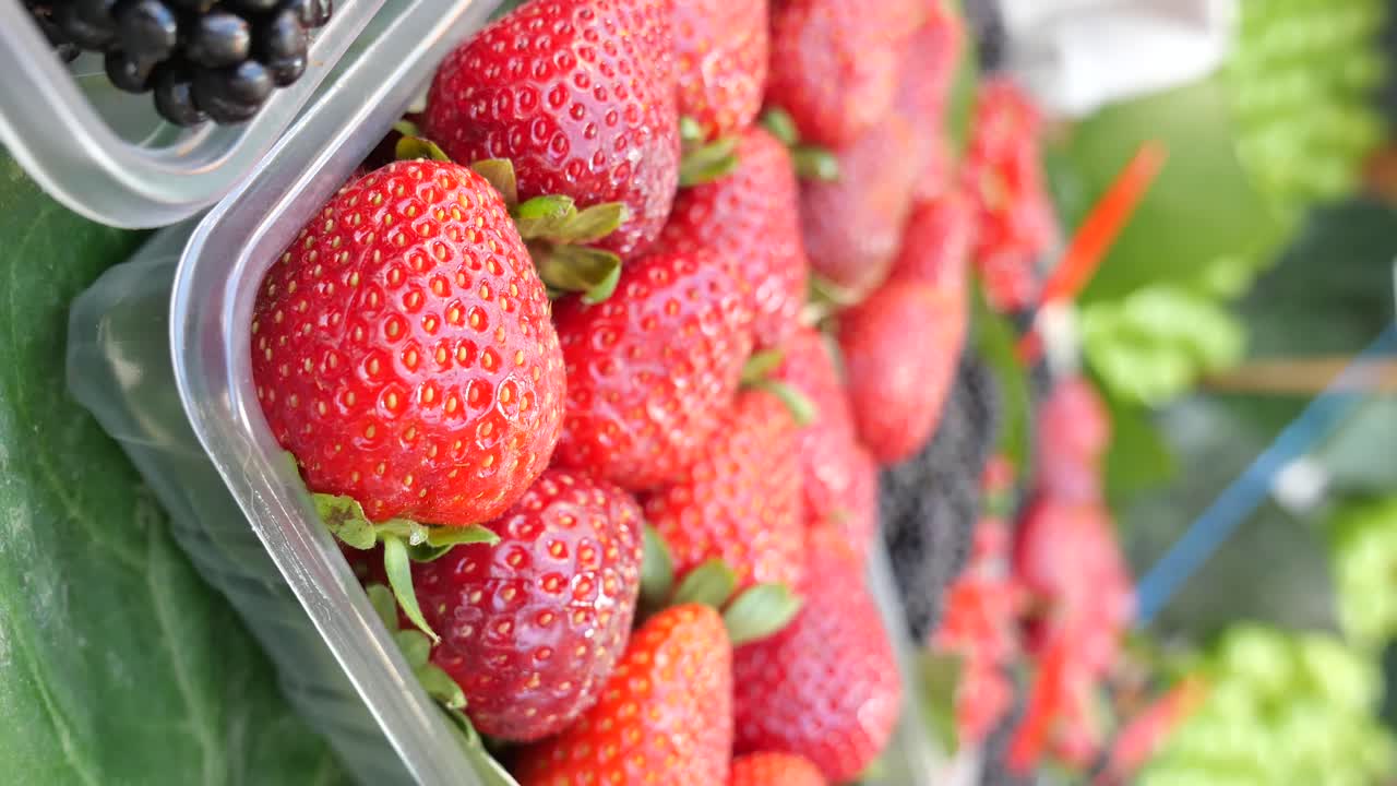 Strawberries and Blackberries
