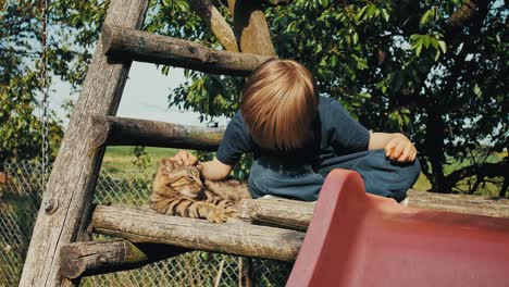 child gently petting a cat lying on a wooden garden swing seat in a sunny rural setting. calm and tender interaction, capturing a peaceful moment of rest and affection outdoors. wide shoot.