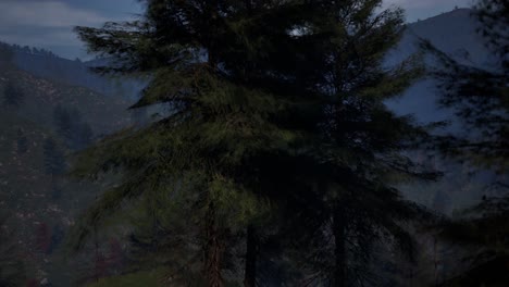 Pine-forest-with-mist-and-mountains-at-the-background,-day-time,-3D-animation,-animated-scene,-camera-dolly-up-left