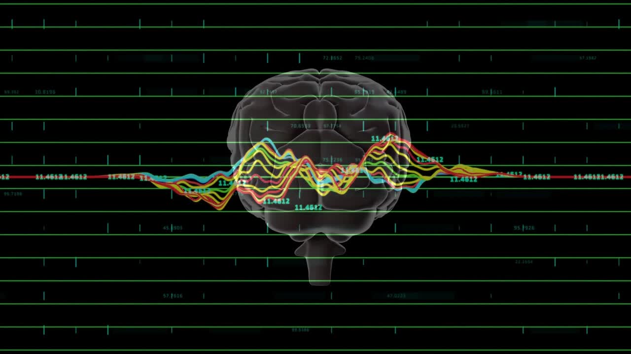 At start, transparent 3D brain rotating as waves oscillating across grid with ticks showing data