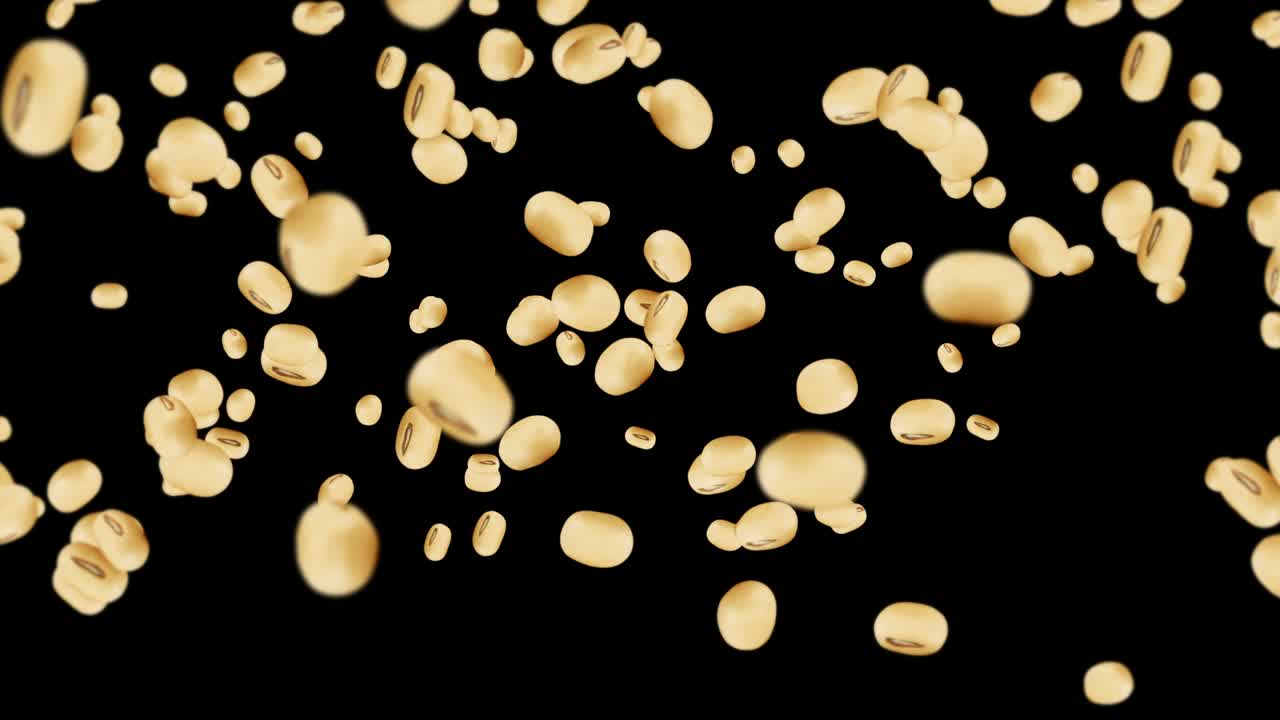 검은색 바탕에 많은 콩을 날아. 밝은 갈색 곡물. 콩과 콩. 건강한 음식. 회전하는 콩의 3d 루프 애니메이션.