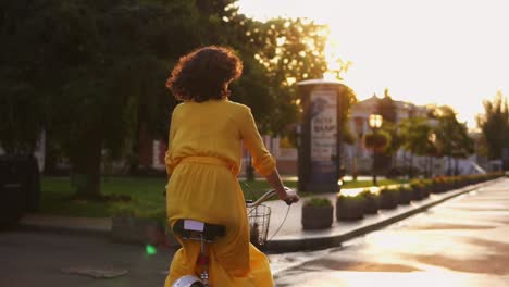 Back-view-of-and-unrecognizable-woman-riding-a-citibike-with-a-basket-and-flowers-in-the-city-center-during-the-dawn-enjoying-her