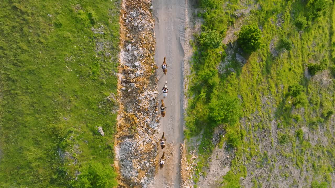 y jinetes caminando por una calle en la naturaleza, puesta de sol vista aérea de arriba hacia abajo