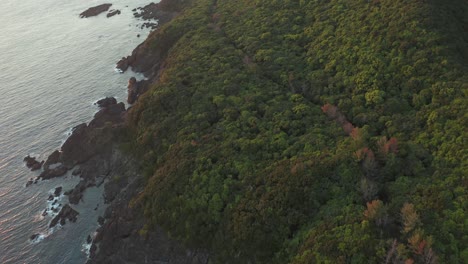 flying over coastline of yakushima island over forest at sunset