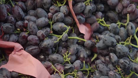 dark purple grapes