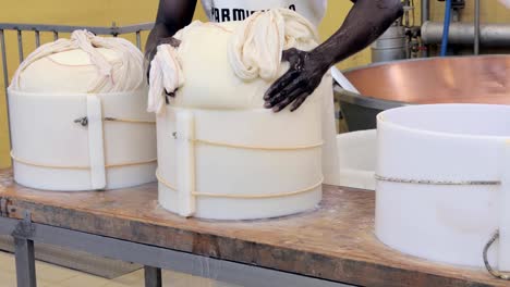 putting parmigiano parmesan cheese into the mold, manufacturer